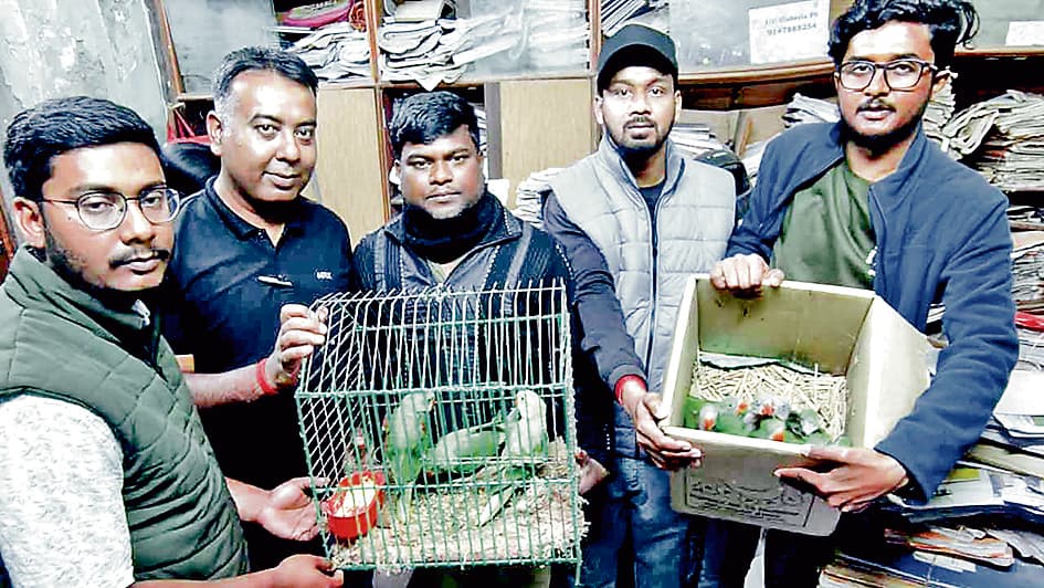 अवैध पक्षी कारोबार का भंडाफोड़, 15 पहाड़ी तोते बरामद