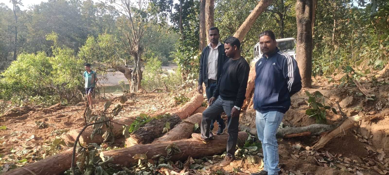 वन विभाग ने 12 पीस सखुआ बोटा बरामद किया