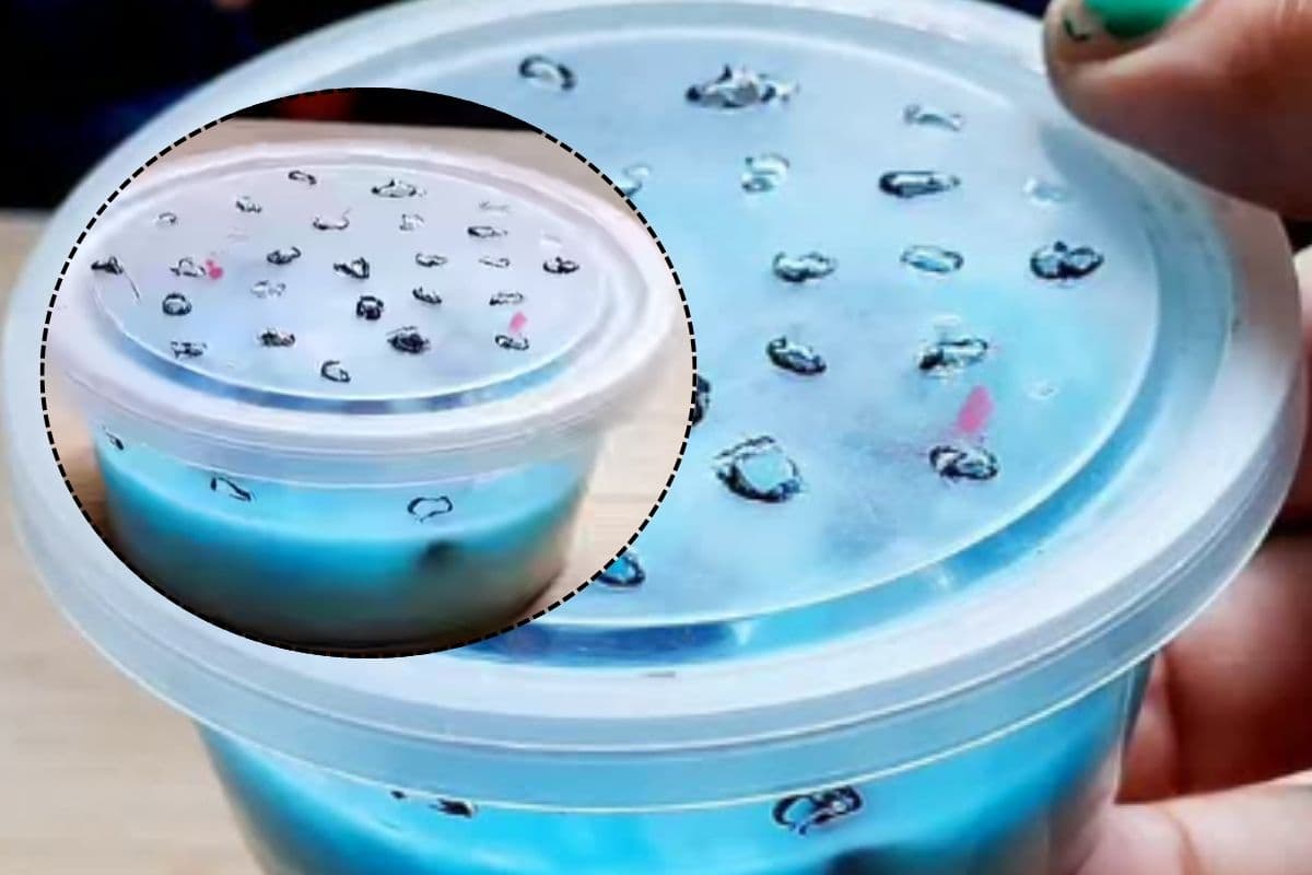 सिर्फ 5 चीजों से बनाएं DIY रूम फ्रेशनर, रेणुका सालुंके ने बताया तरीका