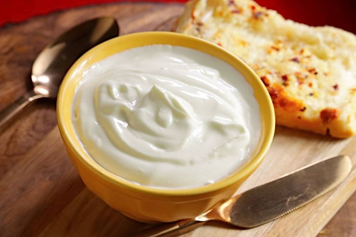 Easy Homemade Mayonnaise Recipe