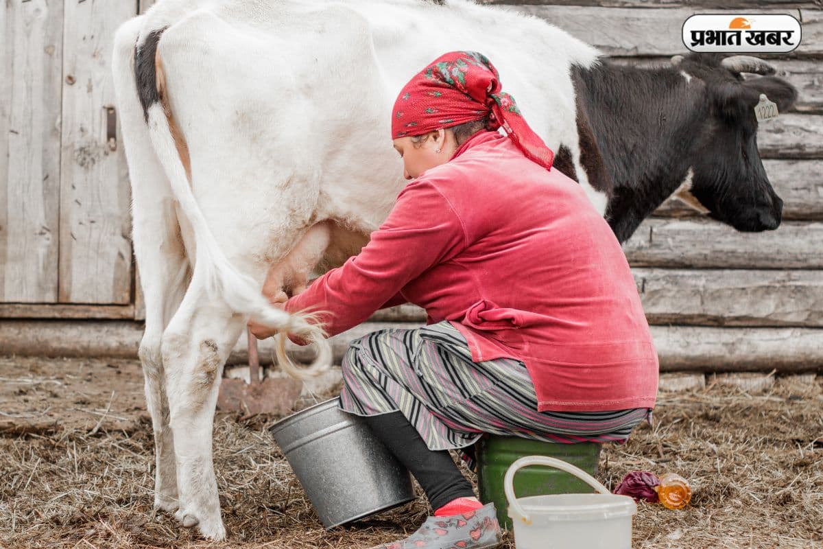 दूध बेचने वालों को लेना होगा लाइसेंस, नहीं तो बंद करना होगा कारोबार