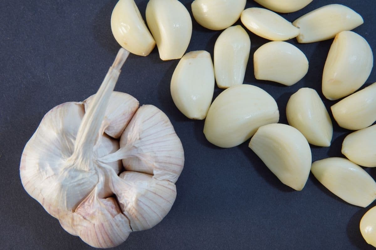 लहसुन से तैयार करें ये 4 तरह की रेसिपीज