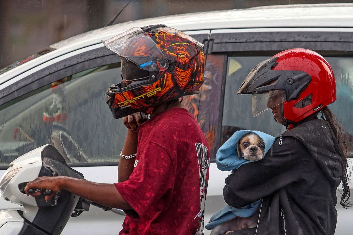 पश्चिमी विक्षोभ का दिखेगा असर, 18 से 21 मार्च तक इन राज्यों में बारिश का अलर्ट