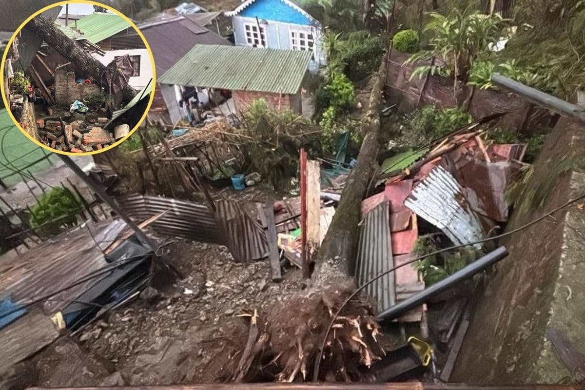 आंधी-तूफान और मूसलाधार बारिश ने मचाई तबाही, सिक्किम में पेड़ गिरने से तीन लोग घायल