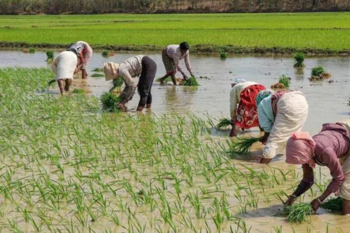 क्या है बंगाल सरकार का कृषक बंधु योजना? जानें किसे मिलता है इस स्कीम का फायदा