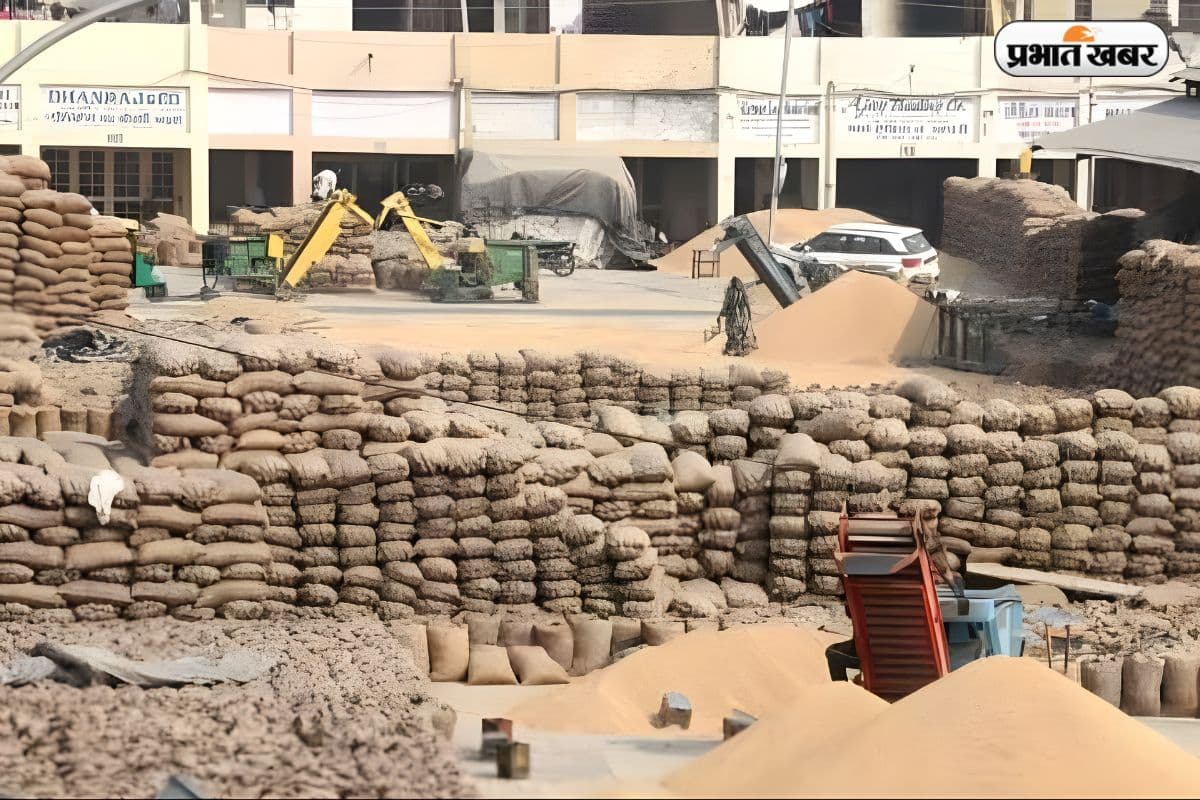 गेहूं-धान खरीद पर बढ़ा कमीशन, बिचौलियों और समितियों को राहत