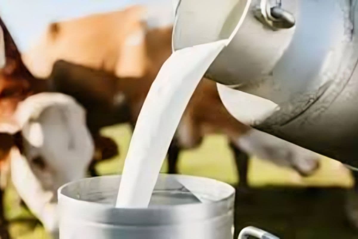 बिहार में खुलेंगे 4452 दूध कलेक्शन सेंटर, दूध जांच के लिए लगेंगी 89 मशीनें