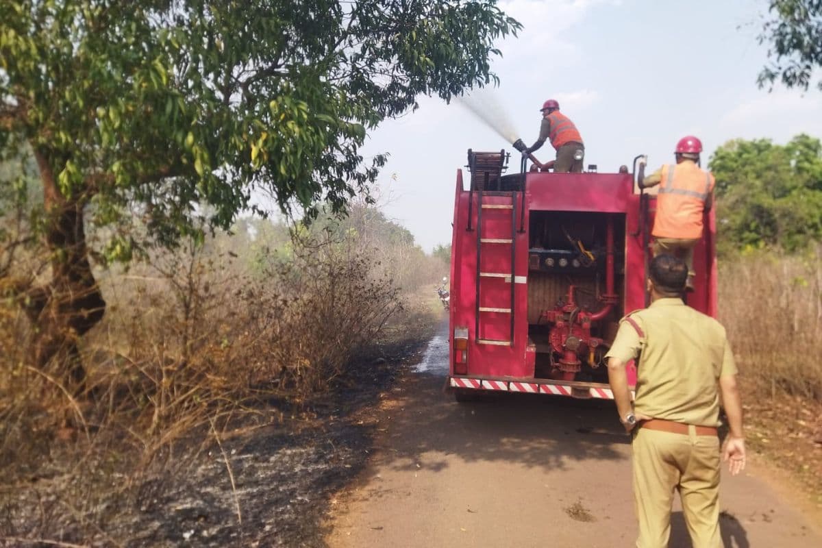 Chaibasa: नोवामुंडी के जंगलों में लगी आग पर समय रहते काबू, बड़ी घटना टली