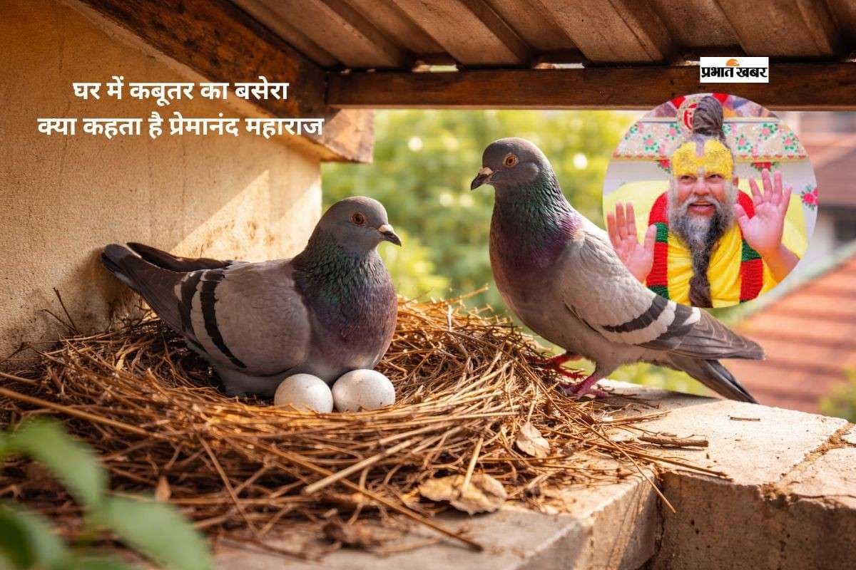 घर में कबूतर का घोंसला शुभ या अशुभ, जानें क्या कहते हैं प्रेमानंद महाराज