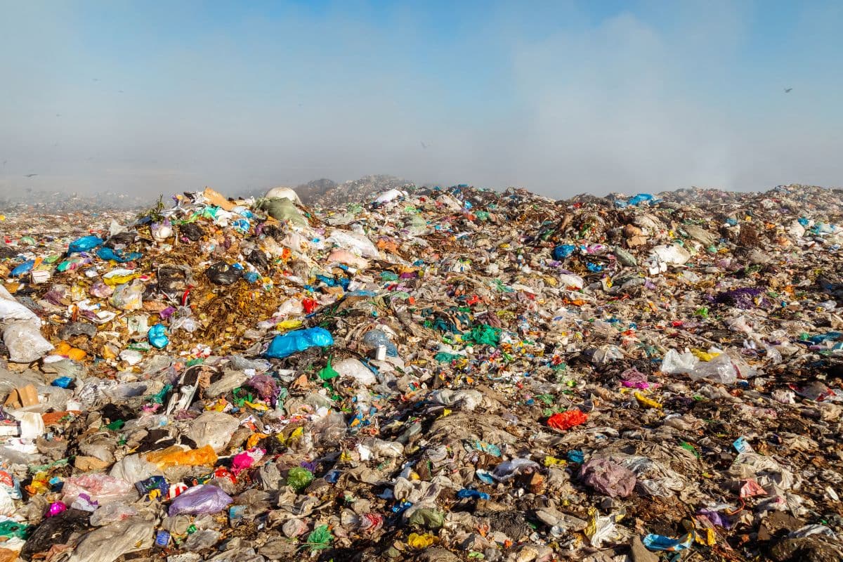 थाईलैंड भेजेगा अमेरिका का 284 टन ई-वेस्ट वापस, कचरा माफियाओं ने रची थी ये साजिश