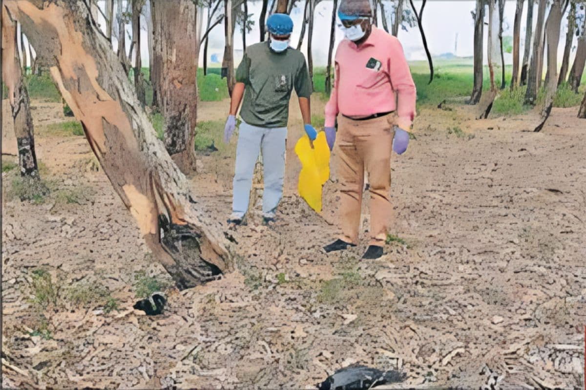 संपतचक में 100 से ज्यादा कौवों की मौत, बर्ड फ्लू की आशंका से इलाके में दहशत