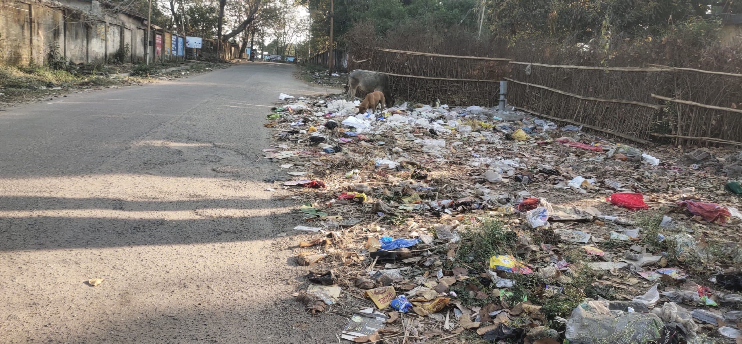 कचरे के ढेर व मच्छरों के आतंक से परेशान हैं सीसीएलकर्मी