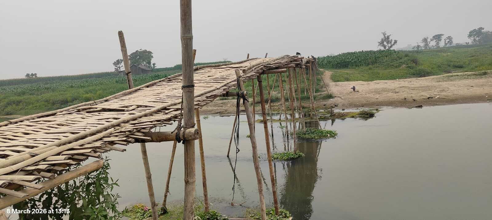 बिशनपुर सुंदर पंचायतवासी चचरी पुल के सहारे करते हैं आवागमन