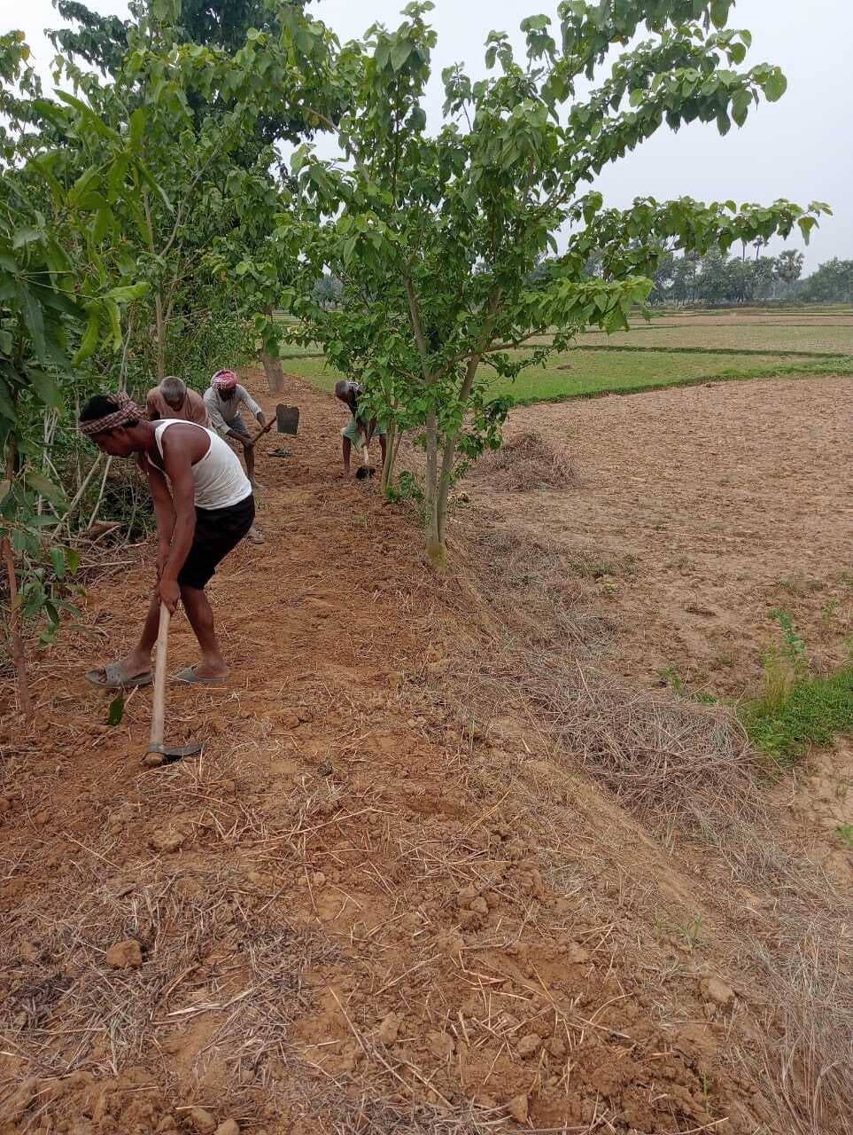 मनरेगा घोटाला. एक ही जगह पर आधा दर्जन योजना दिखा उड़ाए सरकारी रुपये, एडीएम करेंगे जांच