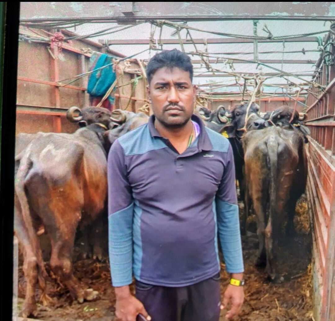 22 मवेशी के साथ एक तस्कर गिरफ्तार