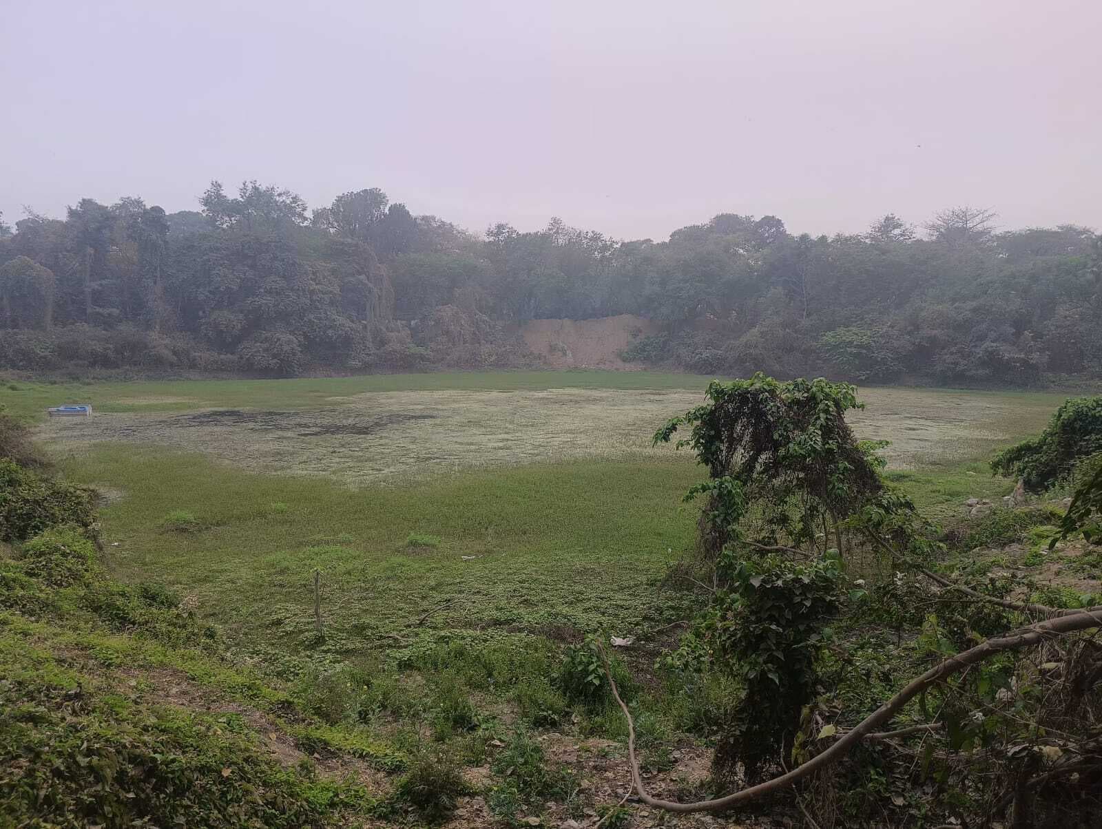 बदहाल है राजा तालाब, मत्स्य पालन पर लगा ग्रहण