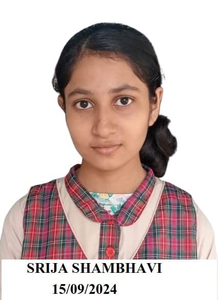 डीएवी, जामताड़ा के तीन छात्र इंस्पायर अवार्ड के लिए चयनित