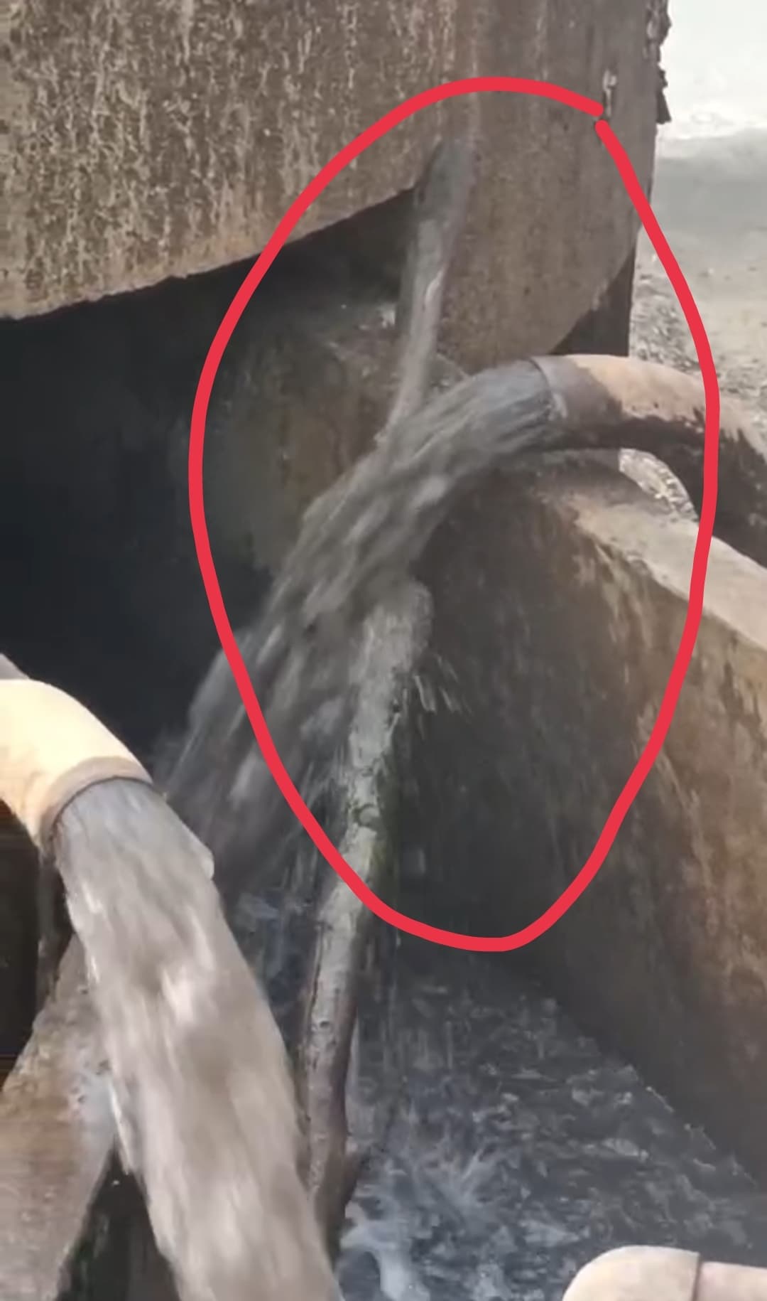 गंदे पानी का सप्लाई होने से लोगों में नाराजगी