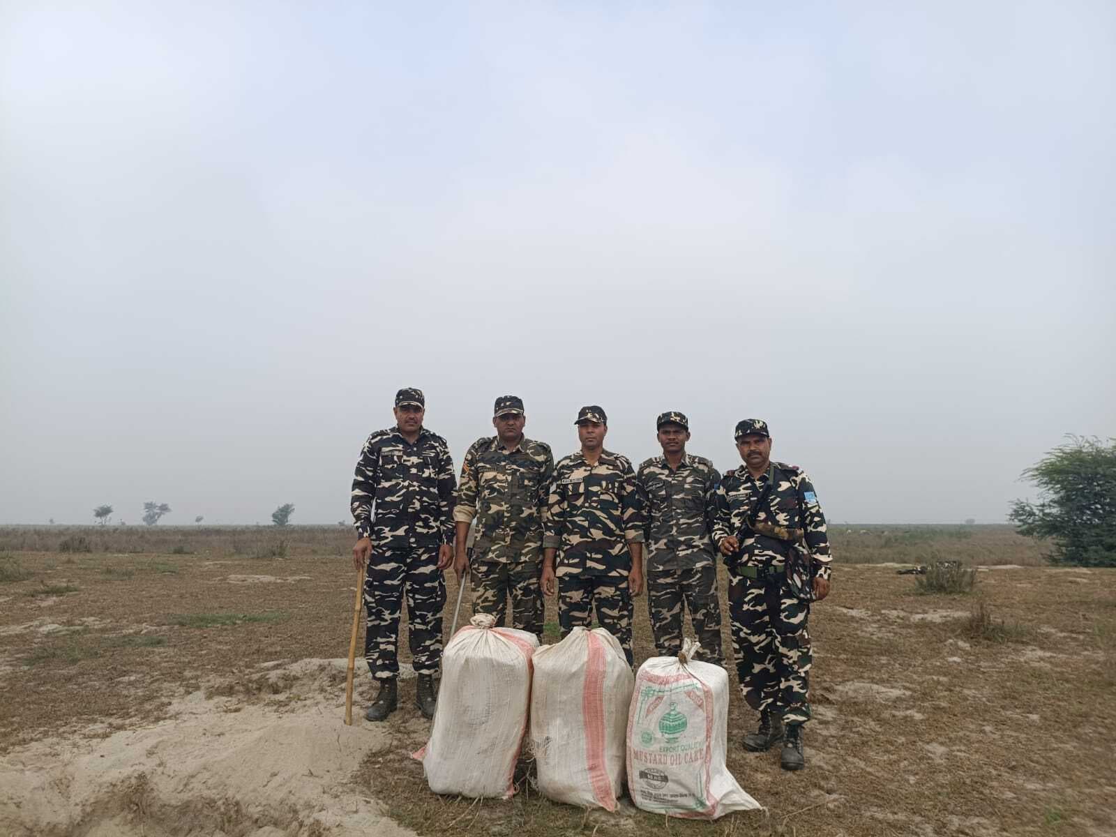 भारत-नेपाल सीमा पर एसएसबी की बड़ी कार्रवाई, 56 किलो गांजा बरामद