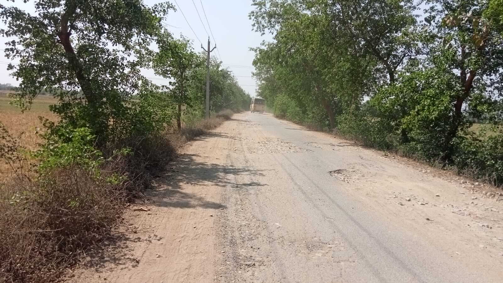 बगड़ा-तरहनी ग्रामीण सड़क गड्ढों में तब्दील