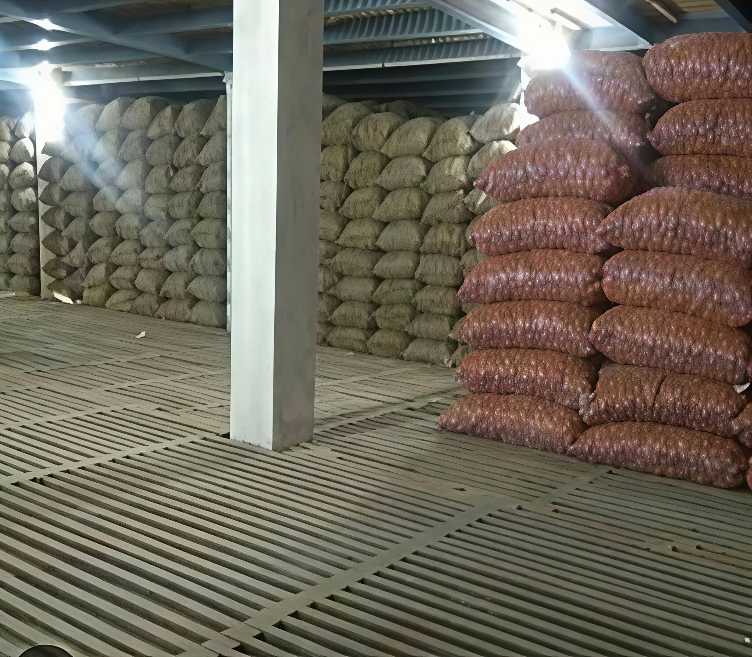 सालुका गांव में बना वृहत कोल्ड स्टोरेज हुआ चालू