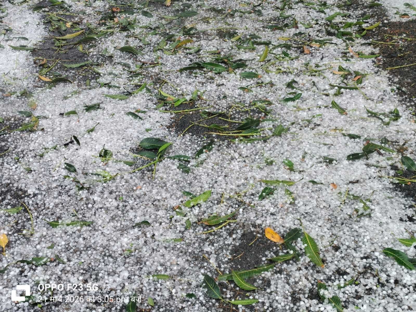 Giridih News :बगोदर क्षेत्र हुई मूसलाधार बारिश, ओलावृष्टि से किसानों को हुआ नुकसान