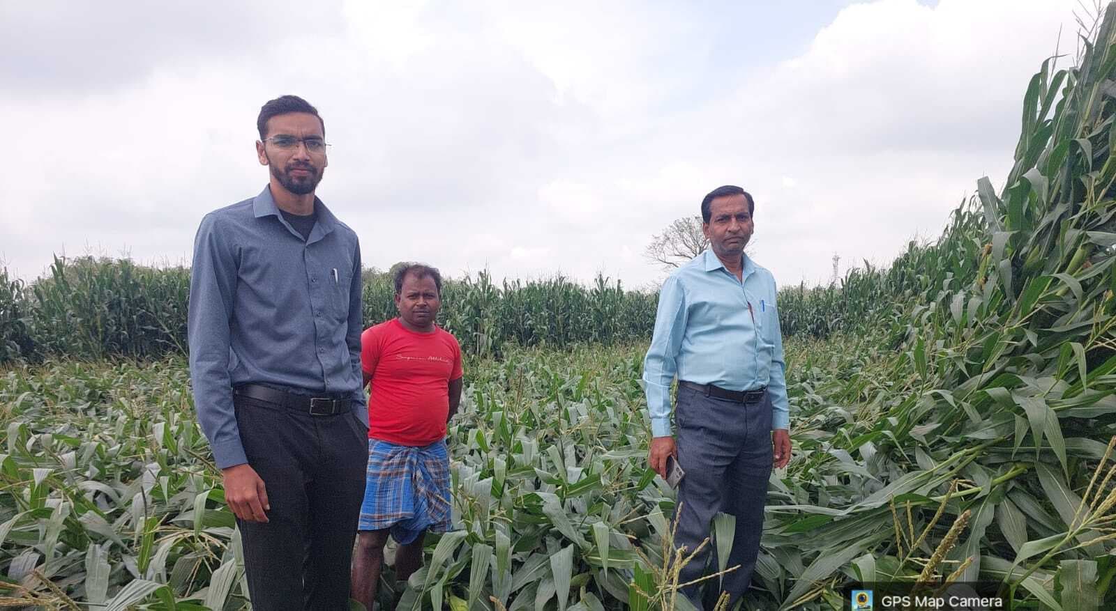 बेमौसम बरसात एवं आंधी में नुकसान हुई फसल का कृषि पदाधिकारी ने लिया जायजा