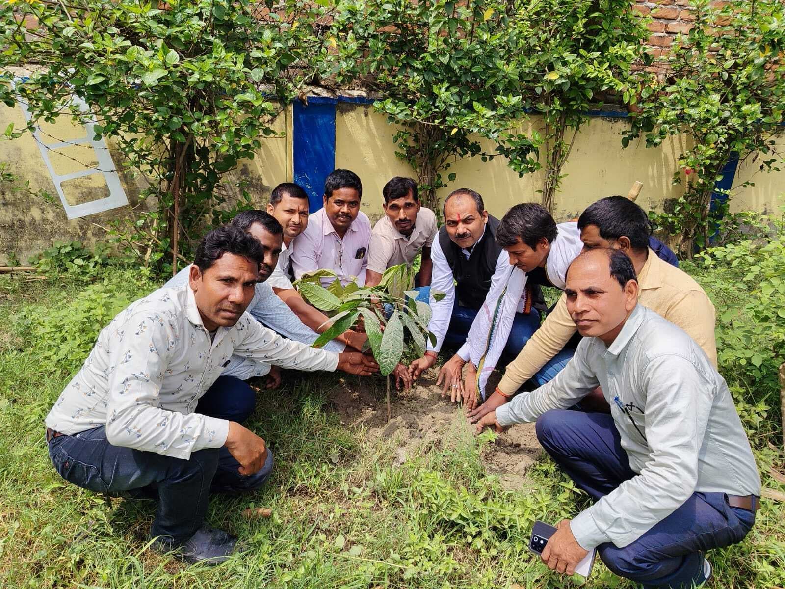 सौढ उत्तरी पंचायत में केक काटकर मनाया गया उत्सव, किया पौधारोपण