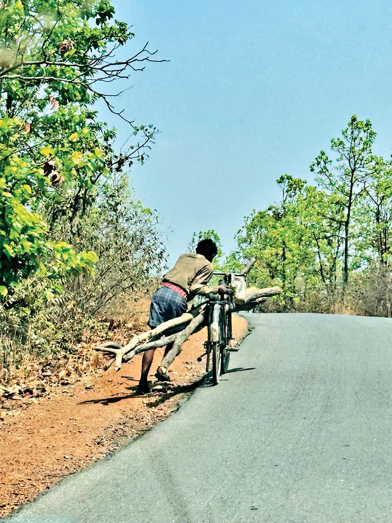 Jharsuguda News: पारंपरिक चूल्हे की ओर लौट रहे लोग, लकड़ी व कोयला की मांग बढ़ी