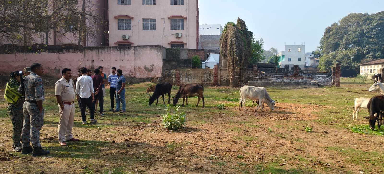 मुंगेर गोशाला से सात गाय व एक बछड़ा की चोरी, जांच में जुटी पुलिस