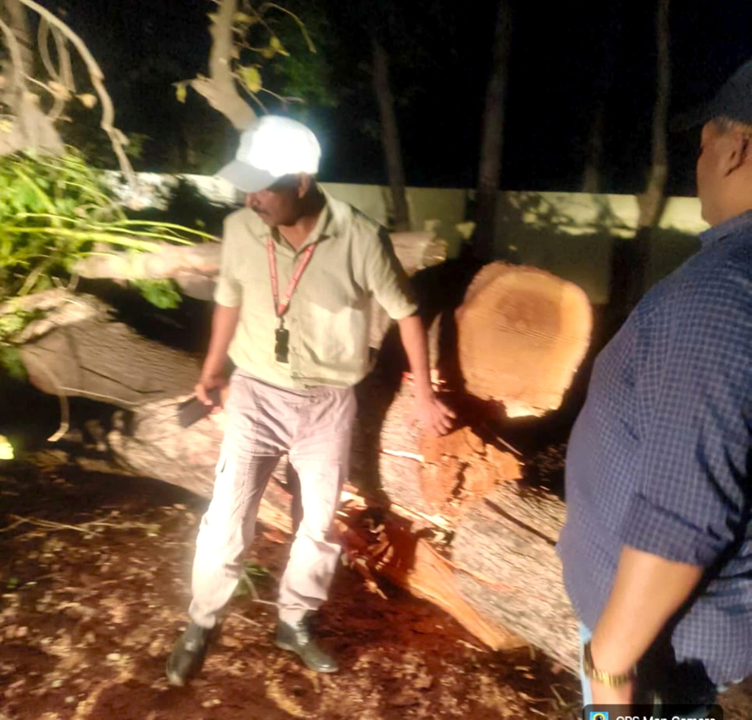 कुसुम्हारा स्कूल में 30 हरे पेड़ों की अवैध कटाई, मुखिया पति व एचएम पर प्राथमिकी दर्ज