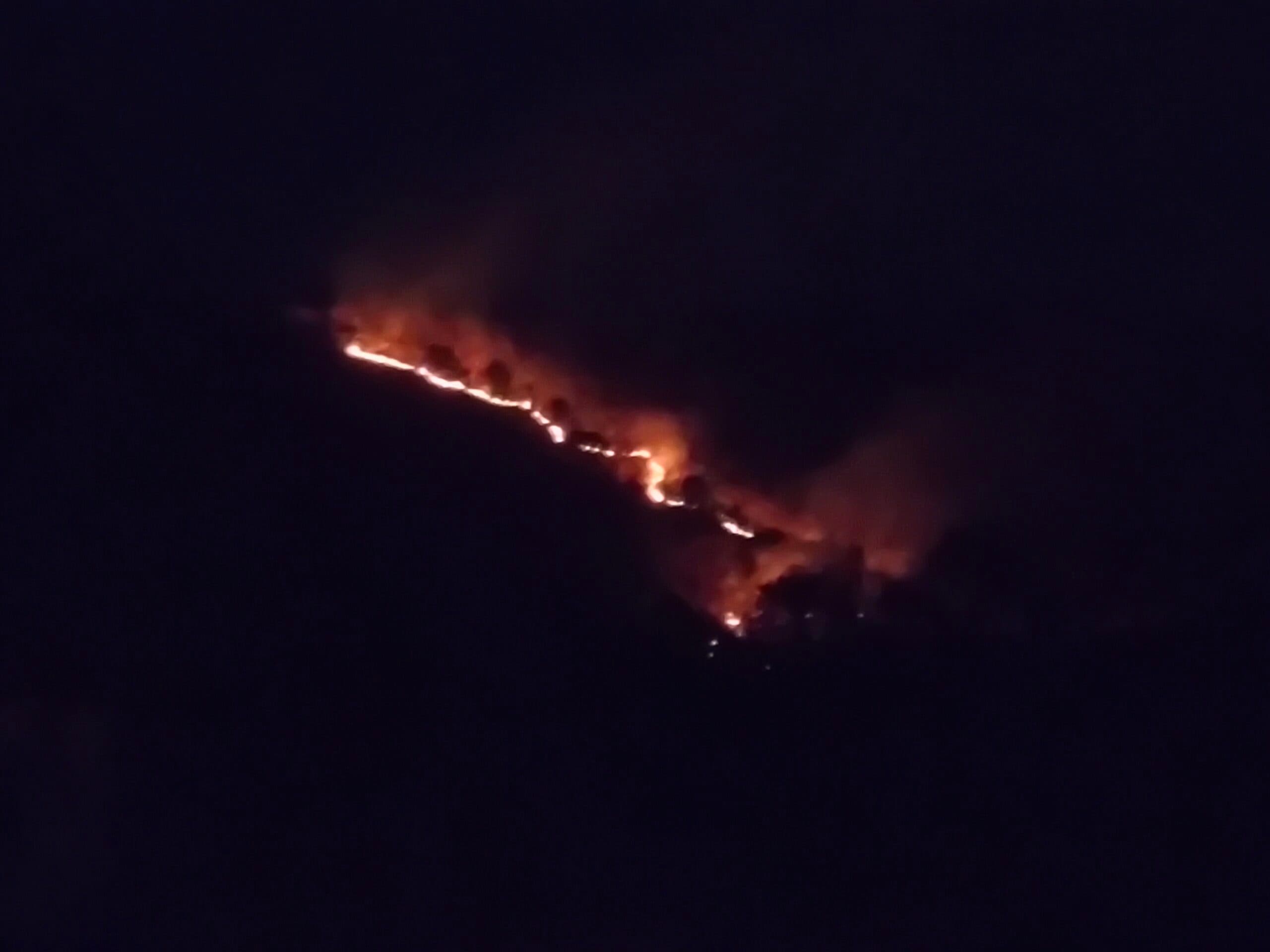 Bokaro News : बोकारो के जंगलों में दो माह में हुईं अगलगी की 300 से अधिक घटनाएं