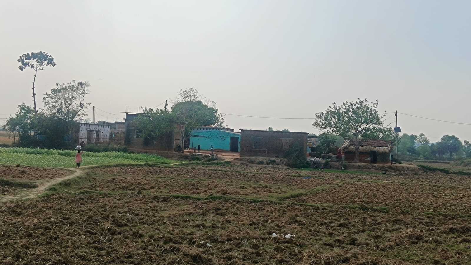 बरहट के गिद्दा मुसहरी में एक भी बच्चा मैट्रिक पास नहीं