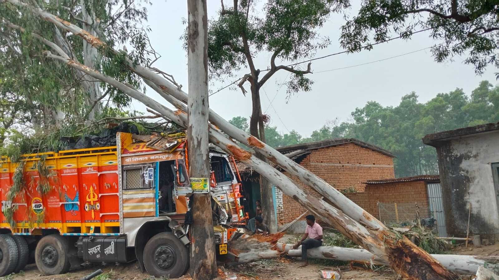 Giridih News :कोयला लेकर जा रहा ट्रक पेड़ से टकराया