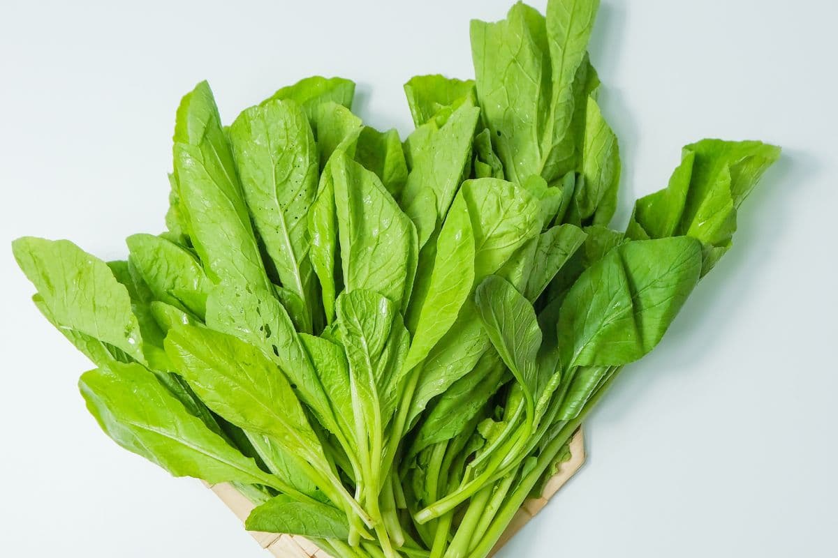 पालक उबालने पर नहीं होगा काला, आजमाएं शेफ रणवीर के टिप्स