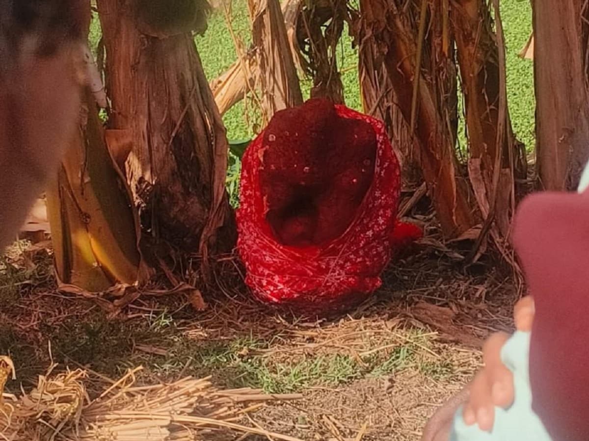 बंगाल के मंदिर में घुसे चोर, प्रतिमा को तालाब किनारे फेंक आभूषण लेकर भागे