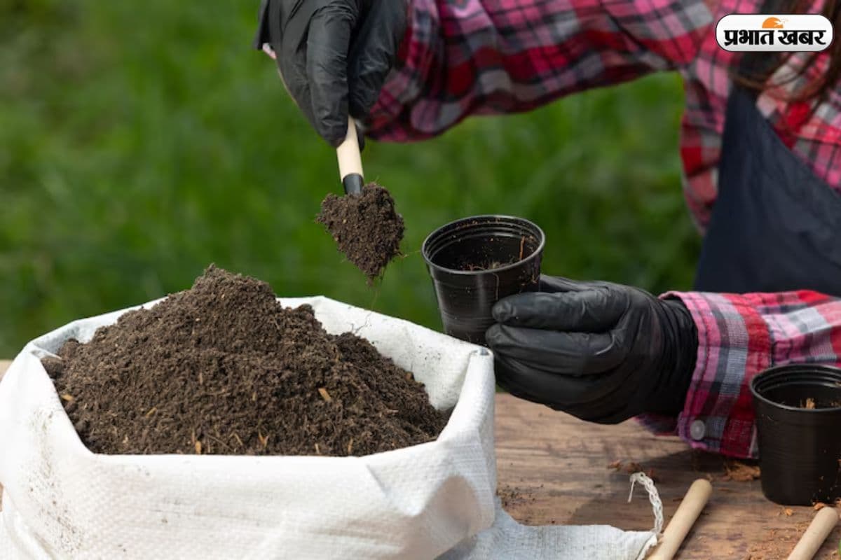 खाद की किल्लत पर सरकार का बयान: खरीफ सीजन के लिए स्टॉक है तैयार