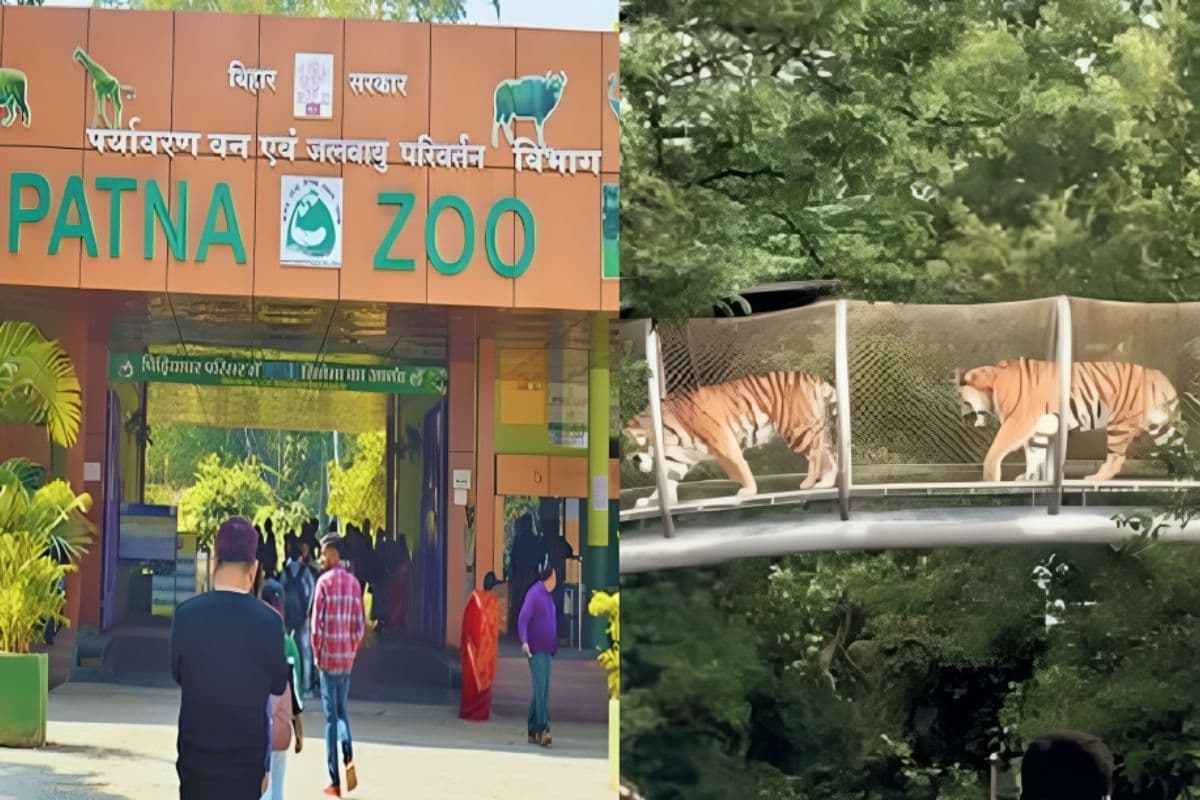 पटना जू हुआ हाईटेक,अब स्मार्ट तरीके से लें वाइल्डलाइफ का मजा