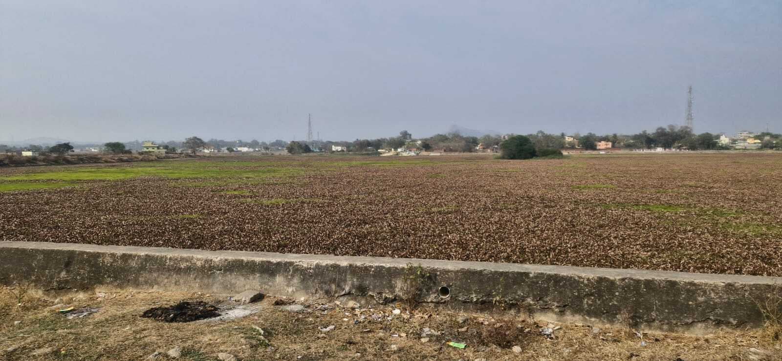 साफ-सफाई और सुंदरीकरण की बाट जोह रहा बुंडू का बड़ा तालाब