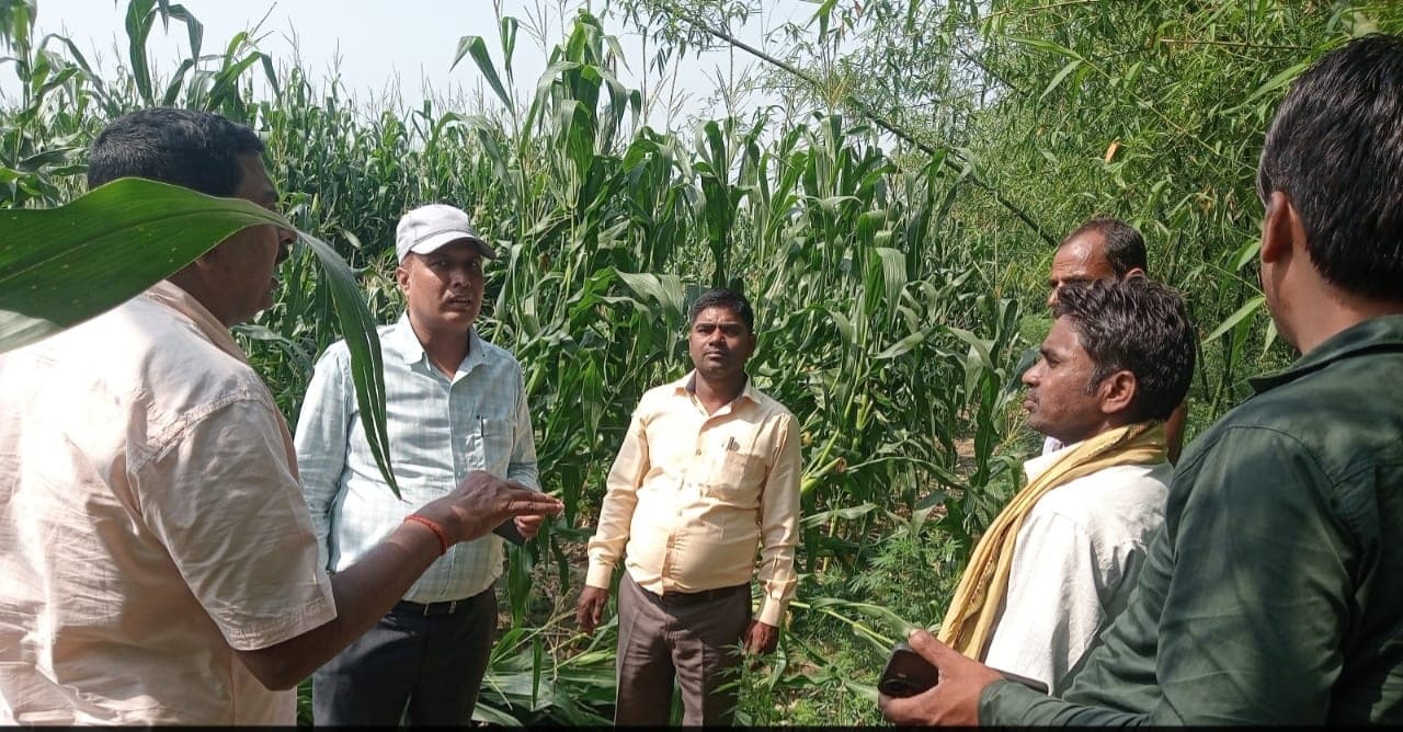 बारिश एवं आंधी से किसानों की बर्बाद फसल का अधिकारियों ने लिया जायजा