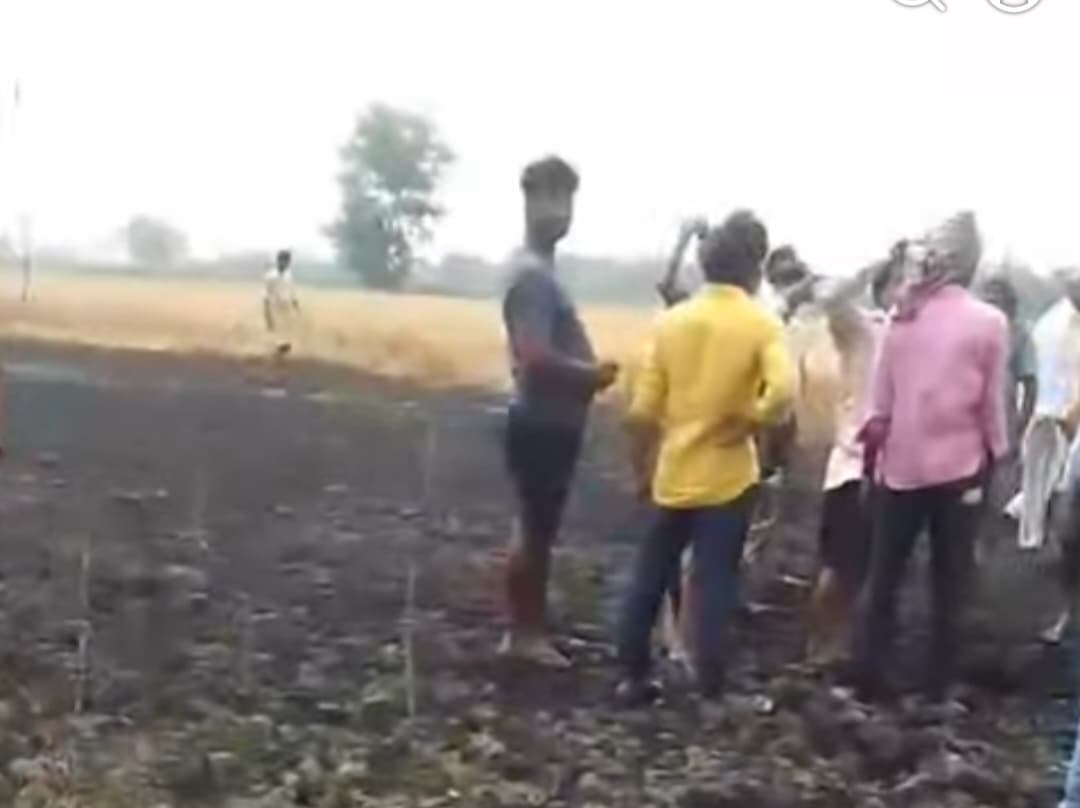 बिजली की चिंगारी से 25 बीघा गेहूं की फसल जल कर राख