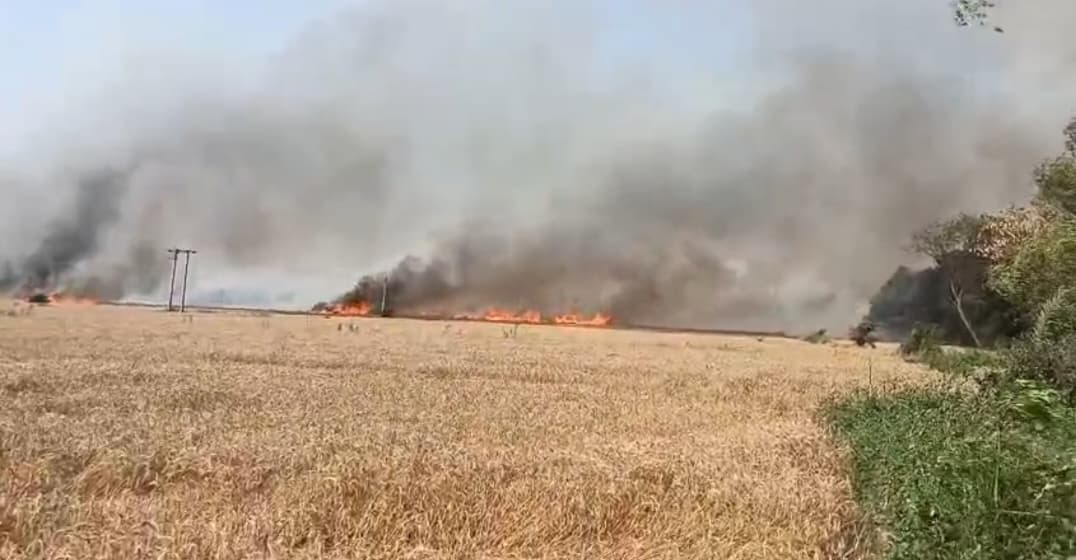 बिजली की चिंगारी से गेहूं की फसल जलकर राख, लाखों का नुकसान