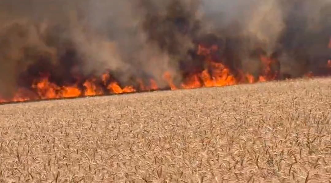 उबधी गांव में आग से 200 एकड़ गेहूं की फसल जलकर राख