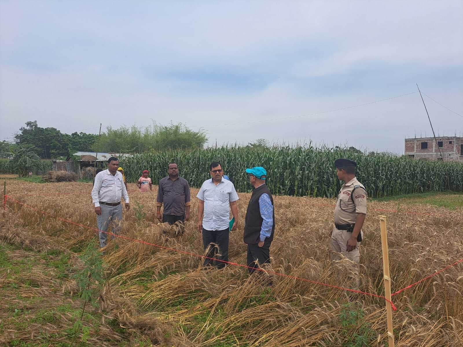 फसल कटनी का एडीएम ने किया निरीक्षण