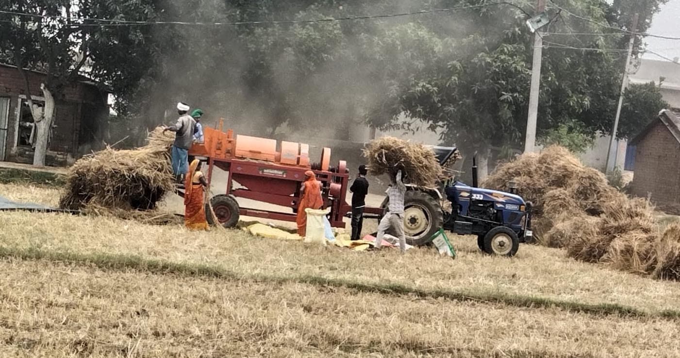 आंधी तूफान की चेतावनी, किसानों ने गेहूं की कटनी व दौनी में लायी तेजी