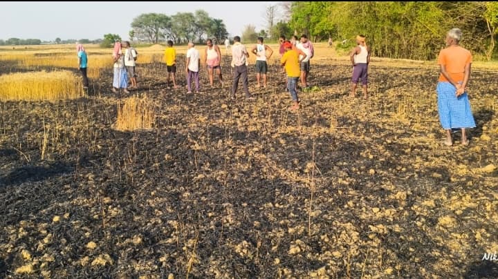 चार किसानों की 11 बीघा गेहूं की फसल हुई राख