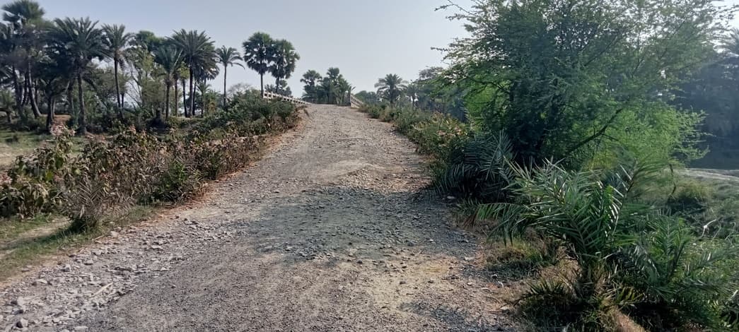 ठाकुरगंगटी में जर्जर सड़क से ग्रामीण परेशान