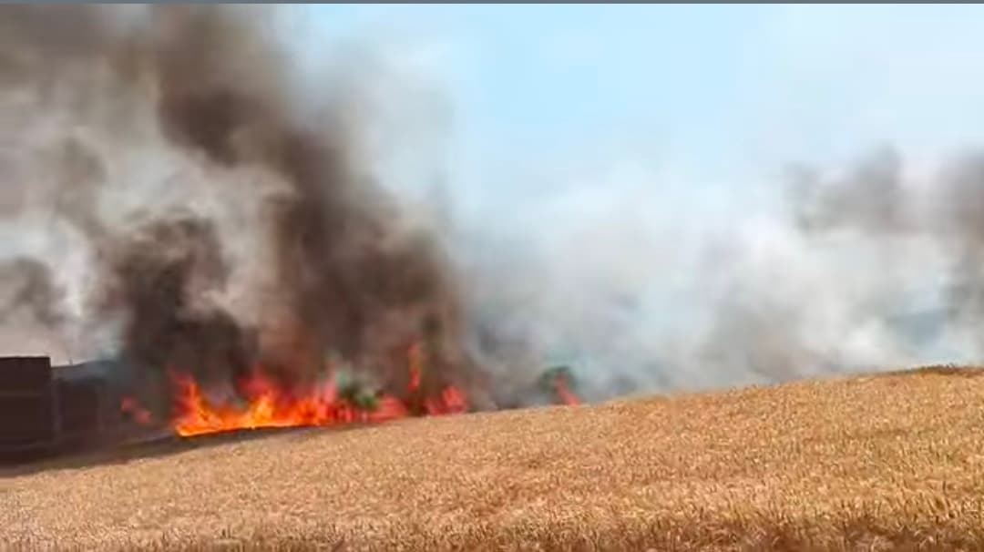 लीड में जोड़….आग लगने से 50 एकड़ में लगी गेहूं की फसल जलकर राख