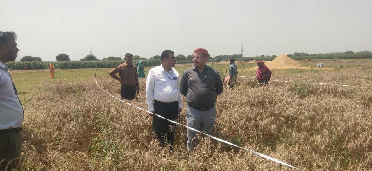 जीतापुर पंचायत में गेहूं कटनी का निरीक्षण, उत्पादन आकलन के साथ सरकारी सेवाओं की भी जांच