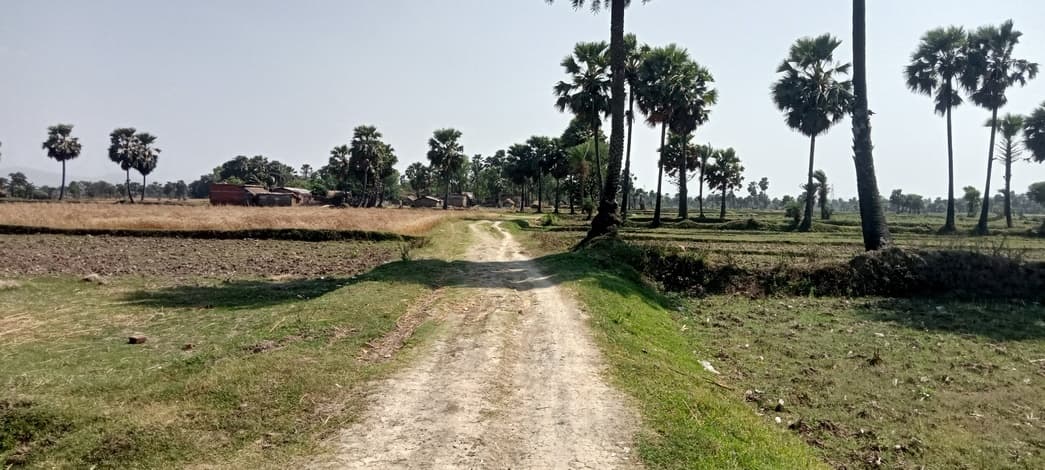 गड़ी पड़वारा गांव में मूलभूत सुविधाओं का अभाव, ग्रामीणों का आवागमन मुश्किल